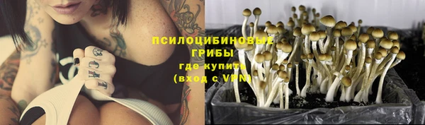 дурь Верея
