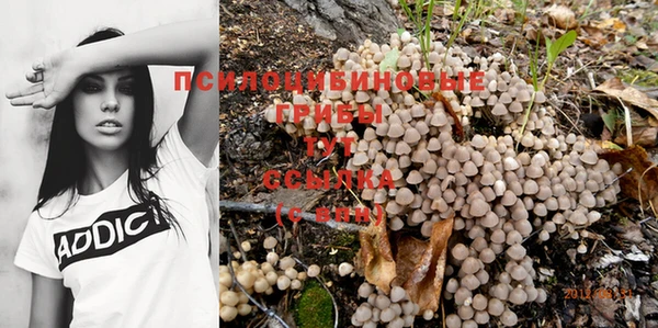 мяу мяу мука Бронницы