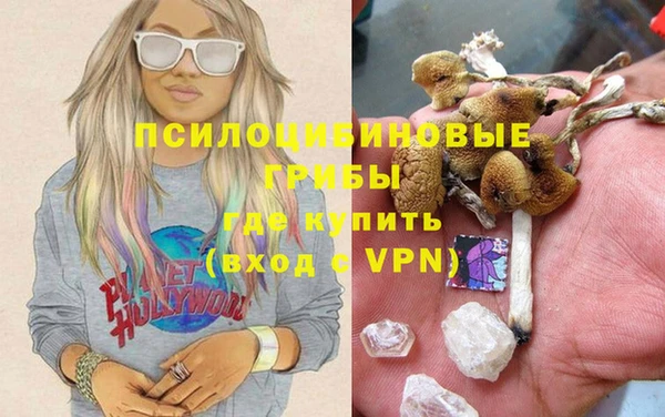 дурь Верея