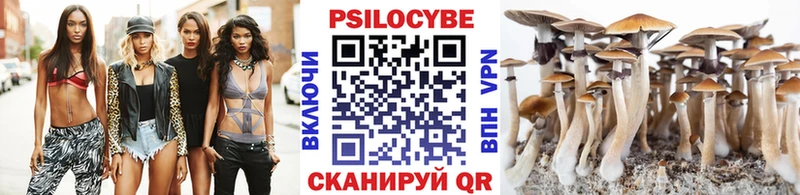 Псилоцибиновые грибы ЛСД  Цоци-Юрт 